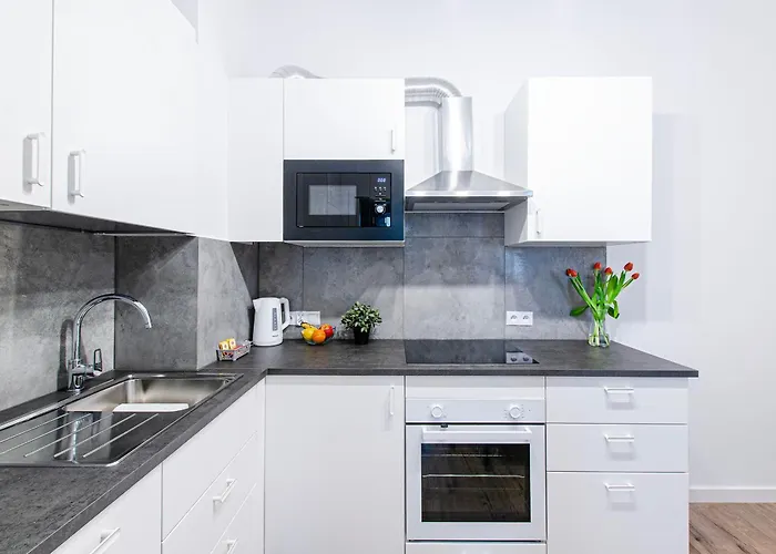 Delux Stara Oficyna 10 Apartamento *